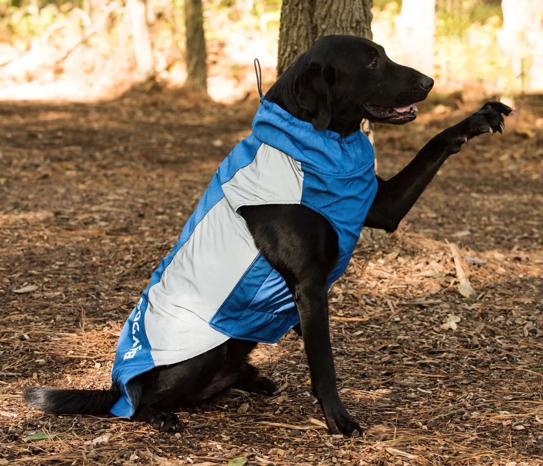 Glacier Bay Dog Winter Coat