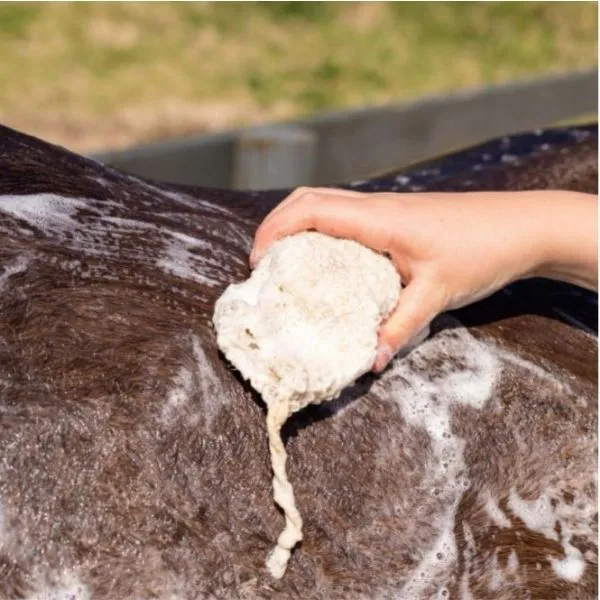 Hairy Pony Floral Shampoo Bar Rose Geranium