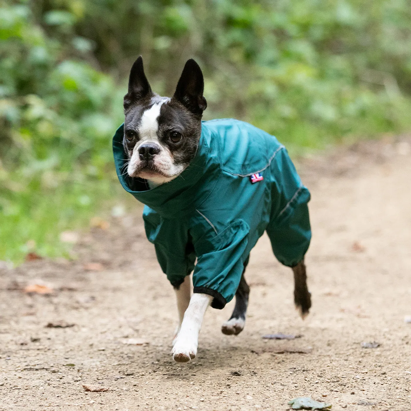 Hugo & Hudson Protective Dog Overalls