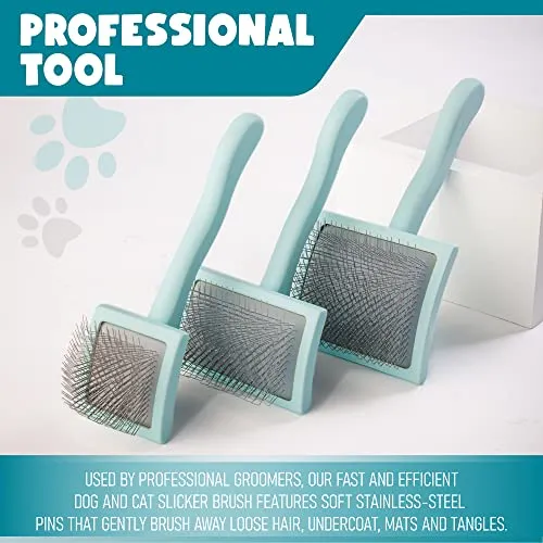 Pet Slicker Brush With Soft Massage Grooming Stainless Steel Pins Flying Pawfect