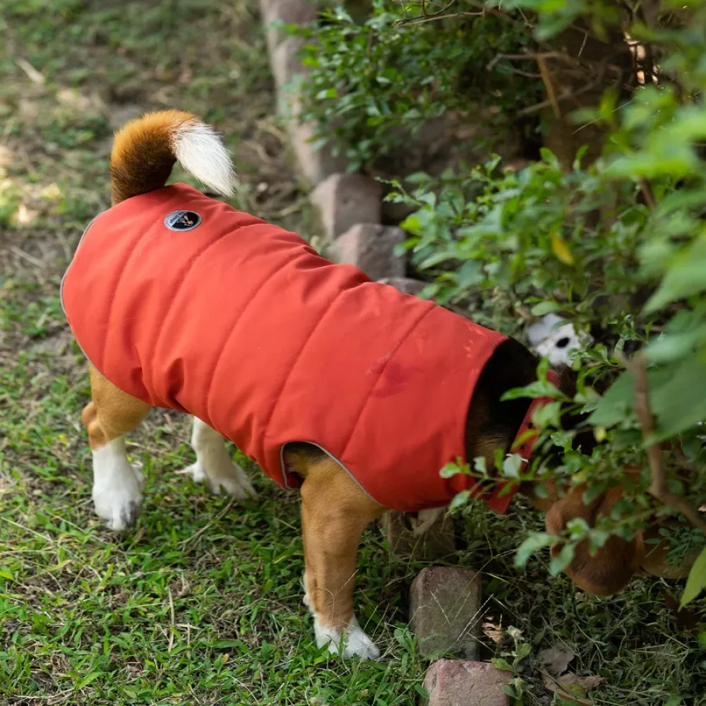 Petsnugs Water Resistant Jackets for Dogs and Cats (Rust)