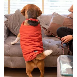 Petsnugs Water Resistant Jackets for Dogs and Cats (Rust)