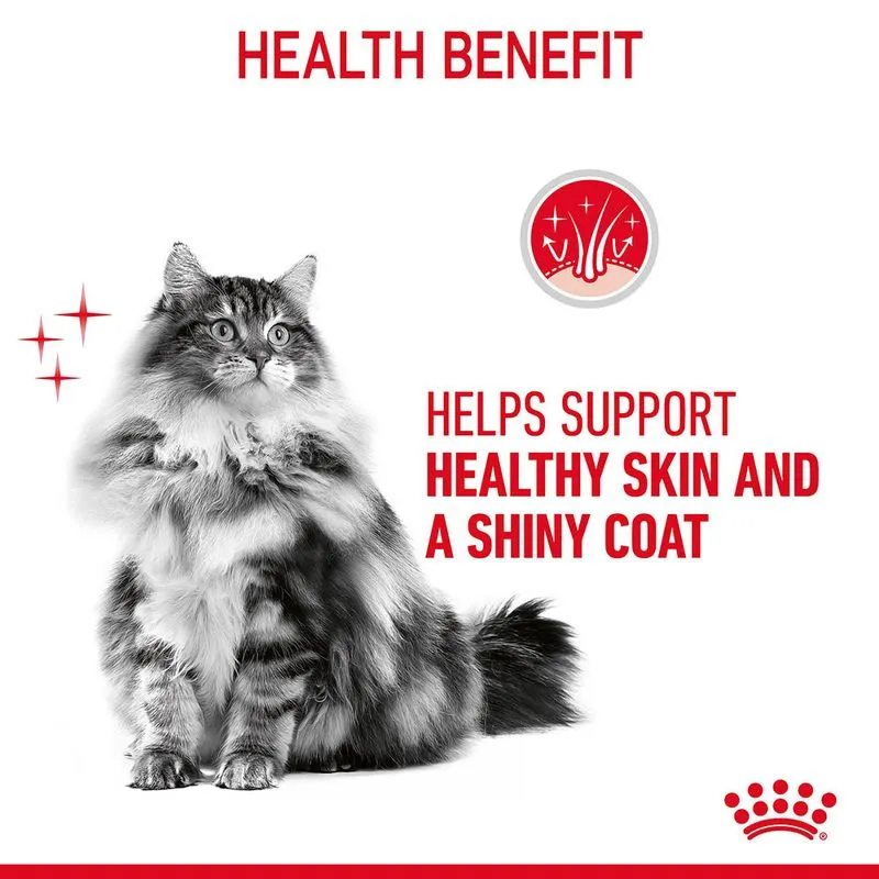 Royal Canin Hairball Care Dry Food and Hair & Skin Care Gravy Wet Adult Cat Food Combo