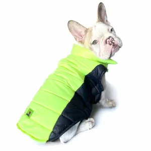 Woofiezz Warm & Comfortable Winter Jackets for Dogs and Cats (Neon Green/Blue)