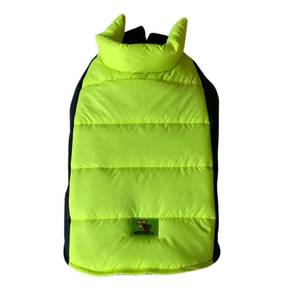 Woofiezz Warm & Comfortable Winter Jackets for Dogs and Cats (Neon Green/Blue)